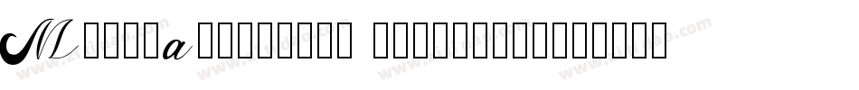 MARI&DAVID EXTRABOLD字体转换